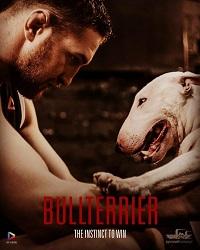 Бультерьер (2022)